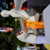 955. 02 dsc_0044